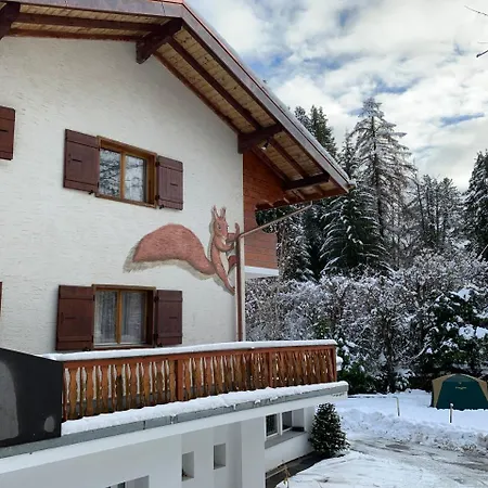 Ecureuil Villars-sur-Ollon